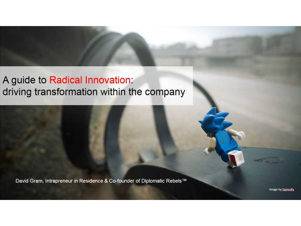 A guide to Radical Innovation: driving transformation within the company