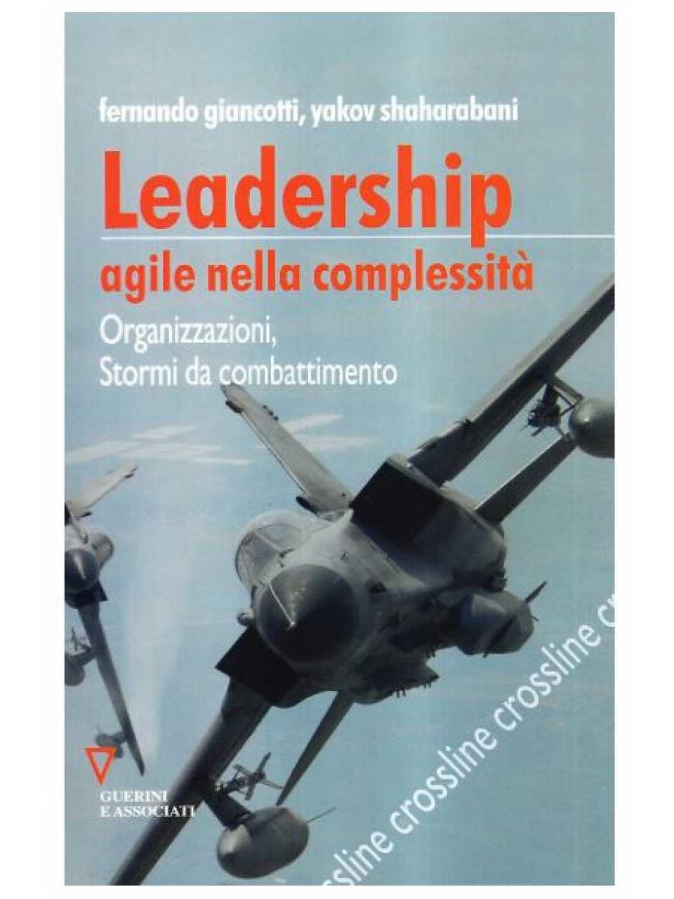 Dalla teoria alla pratica: leadership e azione collettiva  in uno Stormo da combattimento. Tratto da 