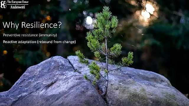 Energizing Resilience. The role of the leader