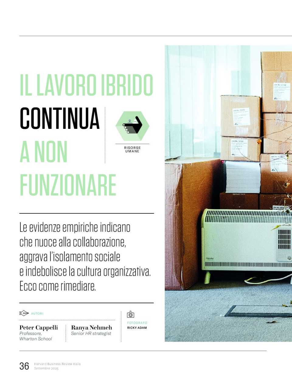 WEBINAR LIVE
Reimagining Work: costruire l’ufficio del futuro