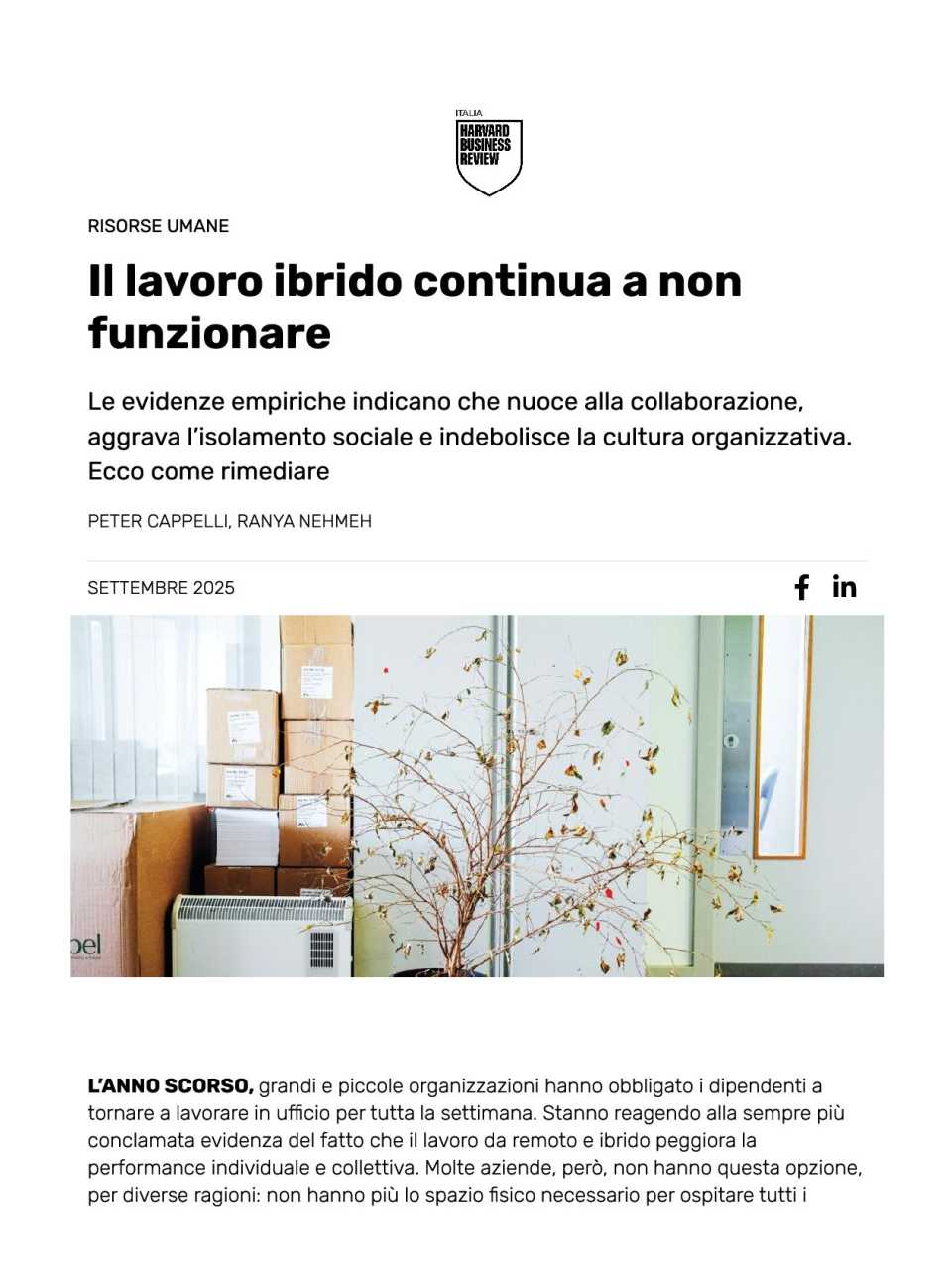 WEBINAR LIVE
Reimagining Work: costruire l’ufficio del futuro