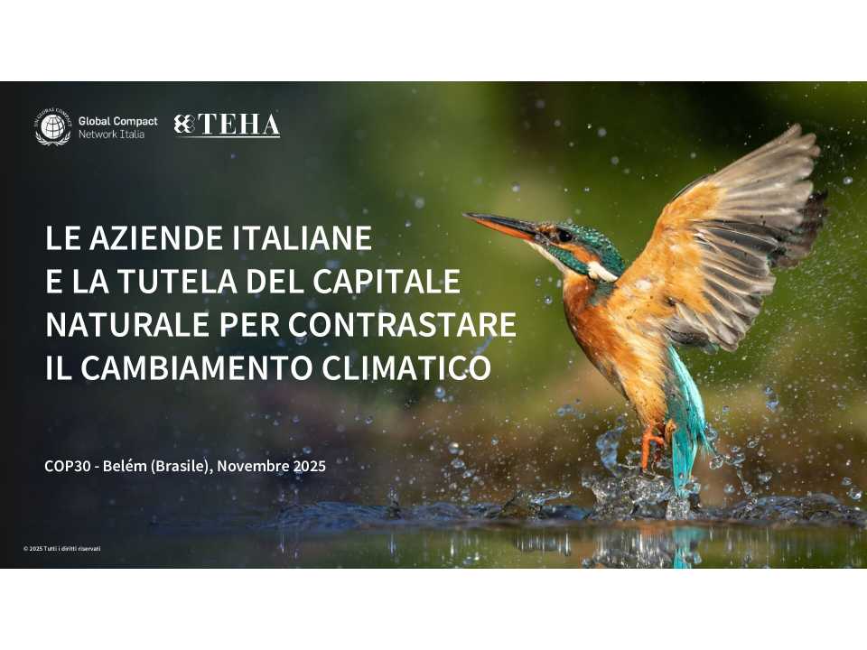 WEBINAR LIVE
Metriche e management della sostenibilità: dall’innovazione alla routine
